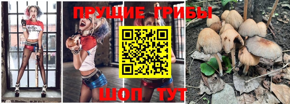 Галлюциногенные грибы прущие грибы  Псилоцибиновые грибы Psilocybe  хочу   Вход с VPN  Морозовск 