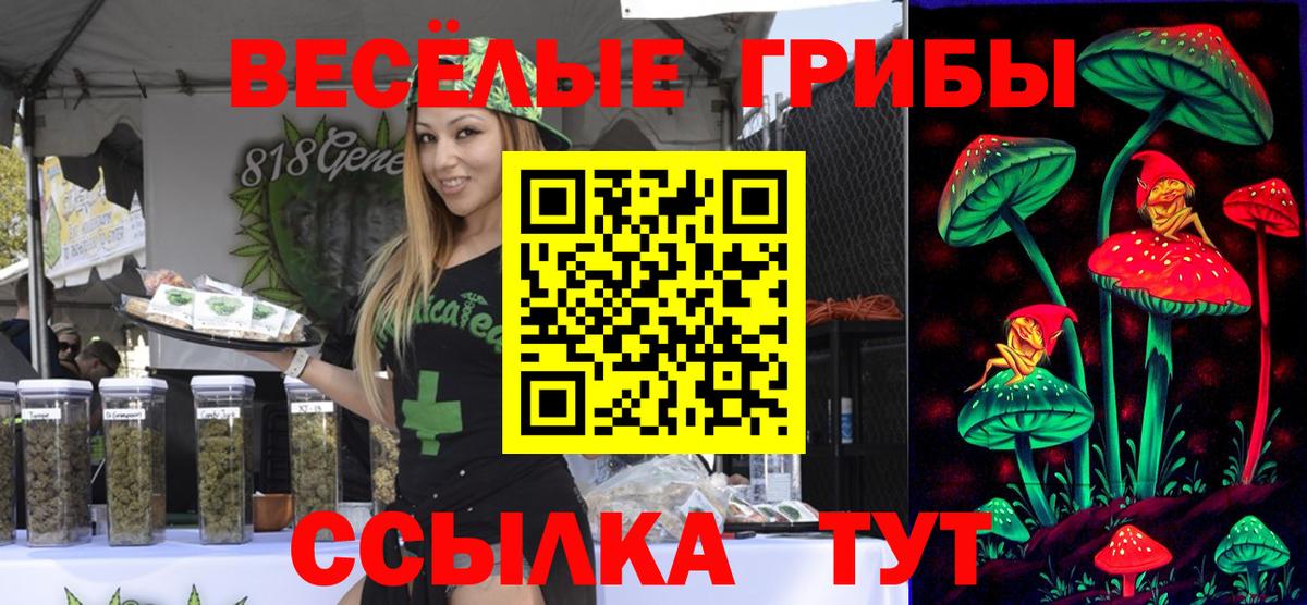 Галлюциногенные грибы MAGIC MUSHROOMS Морозовск